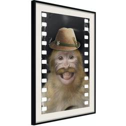 Arkiio Affisch Monkey In Hat [Poster] 30x45 Poster